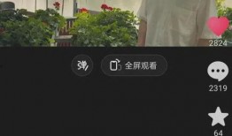 爆料董宇辉最新视频播放,播放量惊人！揭秘背后故事